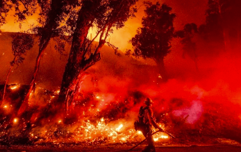 During the 2020 California wildfires, California utility company PG&E purchased 5,000 of our portable power stations for local residents to use in the event of a power failure. This partnership between EcoFlow and PG&E demonstrates our shared dedication to supporting communities and enhancing resilience during challenging times.
